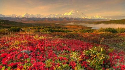 Hogyan kell felhívni a tundra () Hogyan kell felhívni a tundra