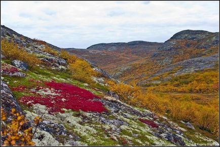 Hogyan kell felhívni a tundra () Hogyan kell felhívni a tundra