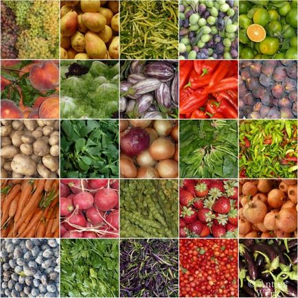 Hogyan készítsük elő a pince, pince Zöldség- és fordulatok