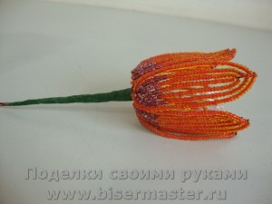 Hogyan készítsünk gyöngyös Fritillaria császári, királyi koronával, gyöngyök mester