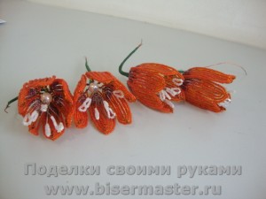 Hogyan készítsünk gyöngyös Fritillaria császári, királyi koronával, gyöngyök mester