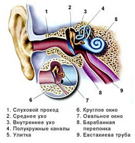 Hogyan enyhíti a fájdalmat a fülben a gyermek elsősegély fülfájás