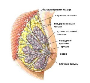 Hogyan kifejezni anyatej