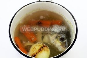 Főzni leves hal feje, hogyan kell főzni