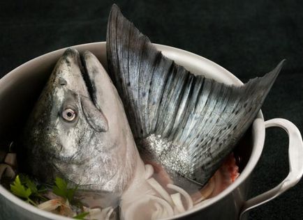 Főzni leves hal feje recept