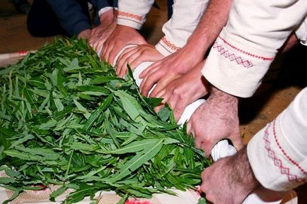 Hogyan növekszik a rózsa-a kezüket, a hazafelé (füzike) Hogyan növekszik a rózsa-a kezüket, a hazafelé
