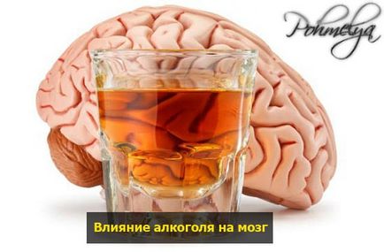 Hogyan működik az alkohol az emberi szervezetre
