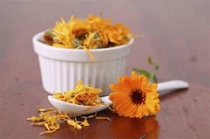 Calendula officinalis körömvirág gyógyító tulajdonságokkal, használata virágok, fűszernövények a népi gyógyászatban,
