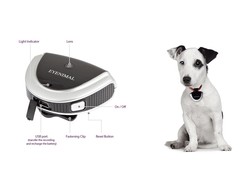 Kamera kutyák és macskák eyenimal pet cam - nyakörvek a kamera (kutya) Kamera kutyák és macskák eyenimal pet cam - nyakörvek kamerával