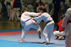 Karate-do - a legjobb felkészülés a diák