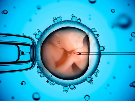 Mi vezethet kísérleteket emberi embriók