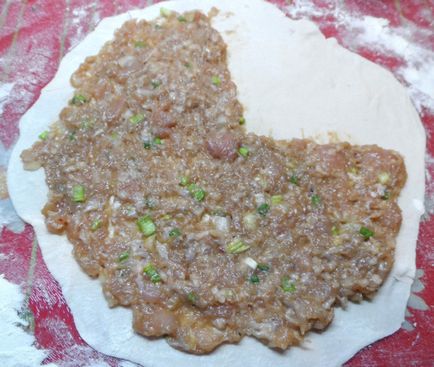 Kínai puff sütemények húst és a hagymát -, hogyan kell főzni kínai torta recept lépésről lépésre