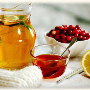Cranberry mézzel hasznos tulajdonságokkal és ellenjavallatok
