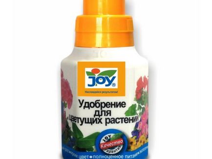 Gerbera szoba otthoni gondozást, fotó, termesztés vetőmagok egy bankot, hogy miért nem virágzik, (feltételek) Gerbera szoba otthoni gondozást, fotó, termesztés vetőmagok egy bankot, hogy miért nem virágzik,