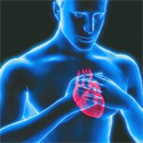 Macrofocal és kis fokális szívinfarktus