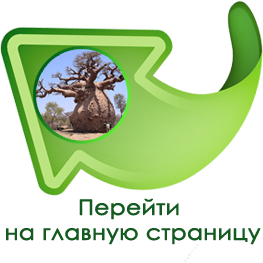 Fehér Liliom - egyedülálló eleme az éjszakai bio-krém cég színek az élet (baobab éjszakai krém) Fehér Liliom - egyedülálló eleme az éjszakai bio-krém cég színek az élet