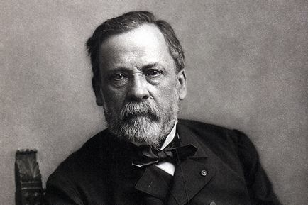 Louis Pasteur - életrajz, fotók, személyes élet, nyitás