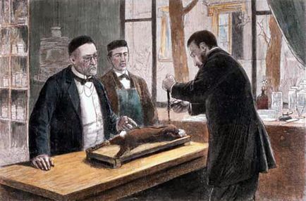 Louis Pasteur - életrajz, fotók, személyes élet, nyitás