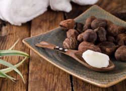Shea vaj - Properties and Applications (olaj) shea vaj - Properties and Applications