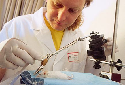 Újdonságok Medicine - eredmények a látómező (hír) Újdonságok Medicine - eredmények a látómező