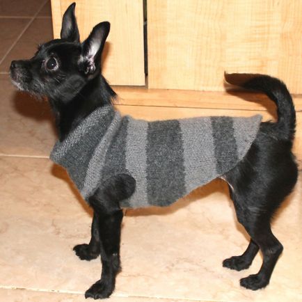 kutya ruhák régi pulóverek