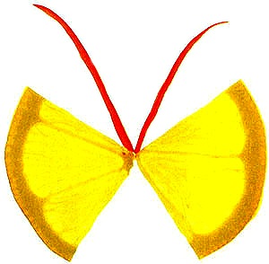 Azt, hogy saláták, szendvicsek (szendvicsek) Azt, hogy saláták, szendvicsek
