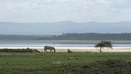 Afrika Viktória-tó, a világ térképén (Lake) Afrika Viktória-tó, a világ térképen