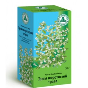 Half-padló, gyógyszer tulajdonságait, receptek, egészség és a hosszú élet szabályai (lekrstvennye növények) Half-padló, gyógyszer tulajdonságait, receptek, egészség és a hosszú élet szabályai