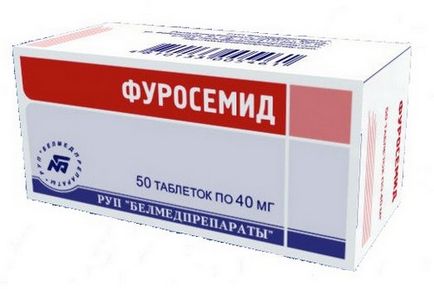Psoriasis Kutya fotó, tünetek, okok, kezelése és megelőzése (az okokat) Psoriasis Kutya fotó, tünetek, okok, kezelése és megelőzése