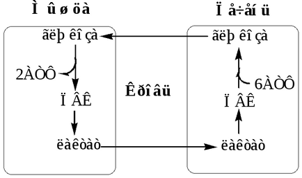 Szénhidrát-anyagcsere szabályozásában