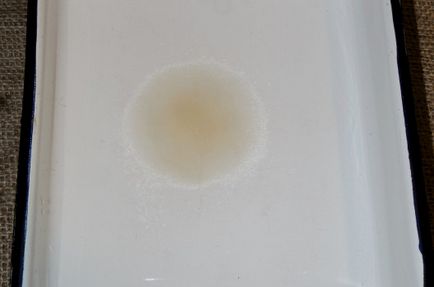 Belyashi recept lépésről lépésre képekkel (recept) Belyashi recept lépésről lépésre képekkel