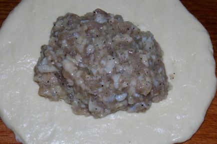 Belyashi recept lépésről lépésre képekkel (belyashi) Belyashi recept lépésről lépésre képekkel