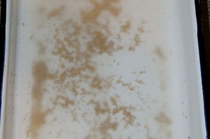 Belyashi recept lépésről lépésre képekkel (recept) Belyashi recept lépésről lépésre képekkel