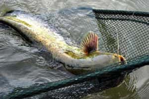 Horgászat októberben - a titok a sikeres horgászat