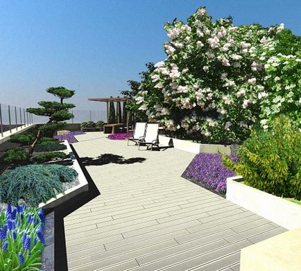 باغ روی پشت بام یک راه اصلی برای محوطه سازی سایت، یک پورتال ساخت و ساز است