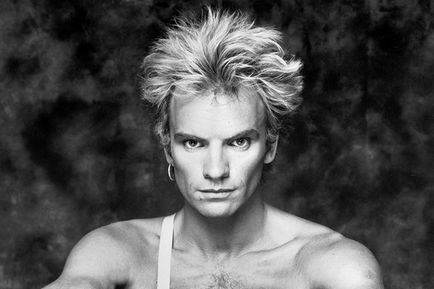 Sting - életrajz, a kreativitás, a dalok, a személyes élet, koncertek, hírek, 2017 (News Az eset) Sting - életrajz, a kreativitás, a dalok, a személyes élet, koncertek, hírek 2017