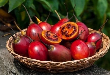 Tamarillo - előnyök, kár és ellenjavallatok