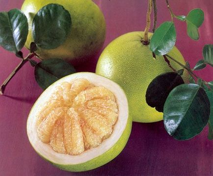Torakid - érdekes gyümölcsöket