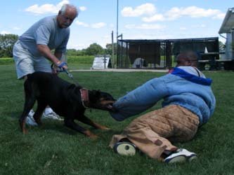 Képzési szolgálati kutyák, szolgálati kutya képzés