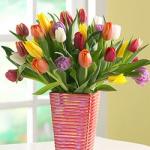 Tulipán otthon - hogyan lehet rendezni egy csokor tulipán tulipán valaki tud adni - ajándék kiválasztása szabályok