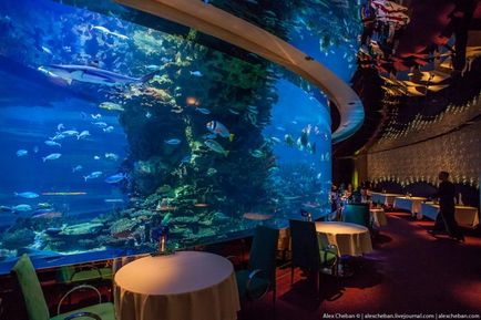 Csodálatos étterem az akváriumban