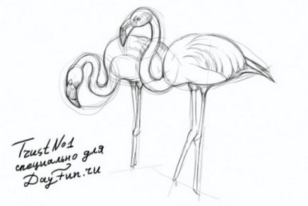 Festés órák - hogyan kell felhívni a flamingó ceruza szakaszában (ceruza felhívni egy flamingó) Festés órák - hogyan kell felhívni a flamingó ceruza szakaszaiban
