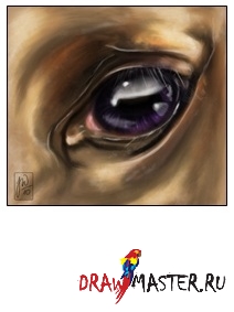 Lessons in festés - paint horse (ló) Eye Lessons in festés - festés ló szem