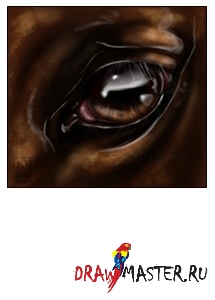 Lessons in festés - paint horse (ló) Eye Lessons in festés - festés ló szem