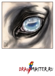 Lessons in festés - paint horse (ló) Eye Lessons in festés - festés ló szem
