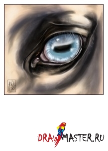 Lessons in festés - paint horse (ló) Eye Lessons in festés - festés ló szem