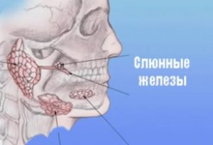 Uzi fej és a nyak szervek típusok, jelzések, magatartás, az eredmények