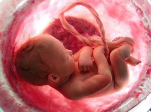 Ultrahang a terhesség korai szakaszában - amikor kell csinálni, és nem rossz