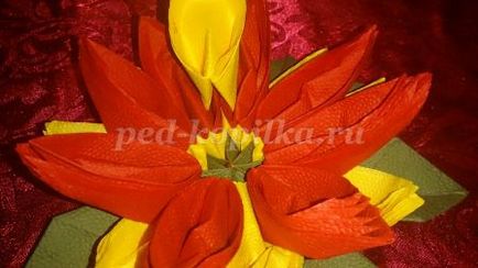 Lotus váza papír szalvéta kezük, mint a jelen március 8. (szalvéták) Lotus váza papír szalvéta kezük, mint egy ajándék március 8