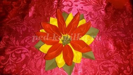Lotus váza papír szalvéta kezük, mint a jelen március 8. (Lotus) Lotus váza papír szalvéta kezük, mint egy ajándék március 8